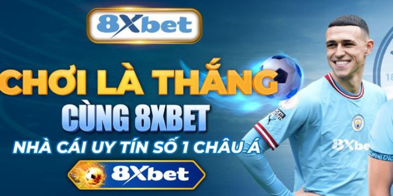 Hỗ trợ dịch vụ chuyên nghiệp 8xbet