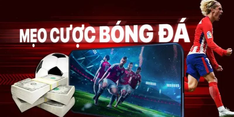 Thương hiệu uy tín bong88