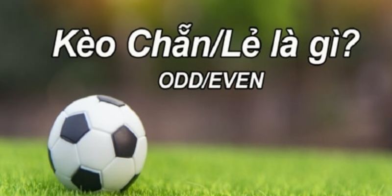 Kèo chẵn lẻ là kèo gì