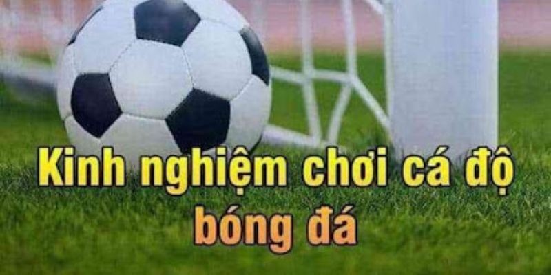 Kinh nghiệm cá cược chơi lớn