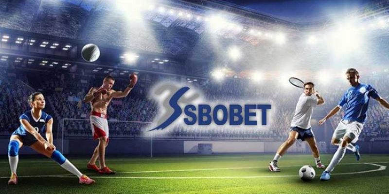 Vì sao nên chọn Sbobet