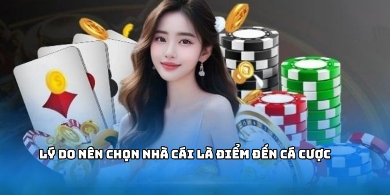 Đọc tin tức 1gom